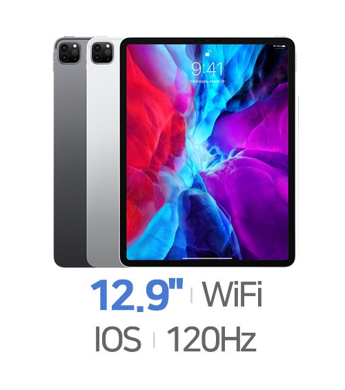 Apple 아이패드 프로 12.9 4세대 Wi-Fi 128GB